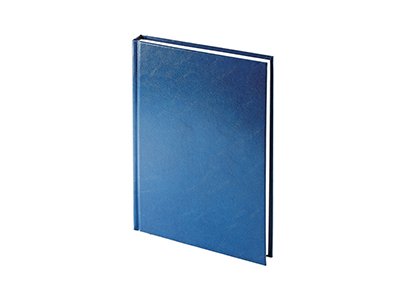 Ежедневник датированный А5 Ideal New 2025, синий