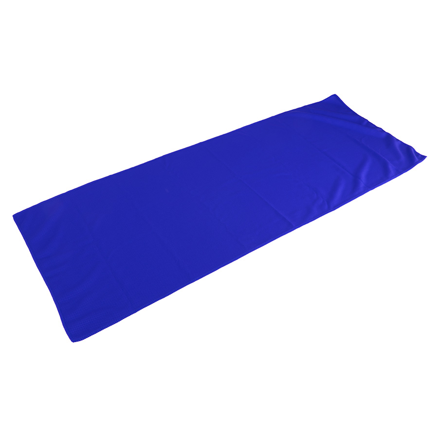 Спортивное полотенце в пластиковом боксе с карабином "ACTIVE", микрофибра, пластик, 30*88 см., синий